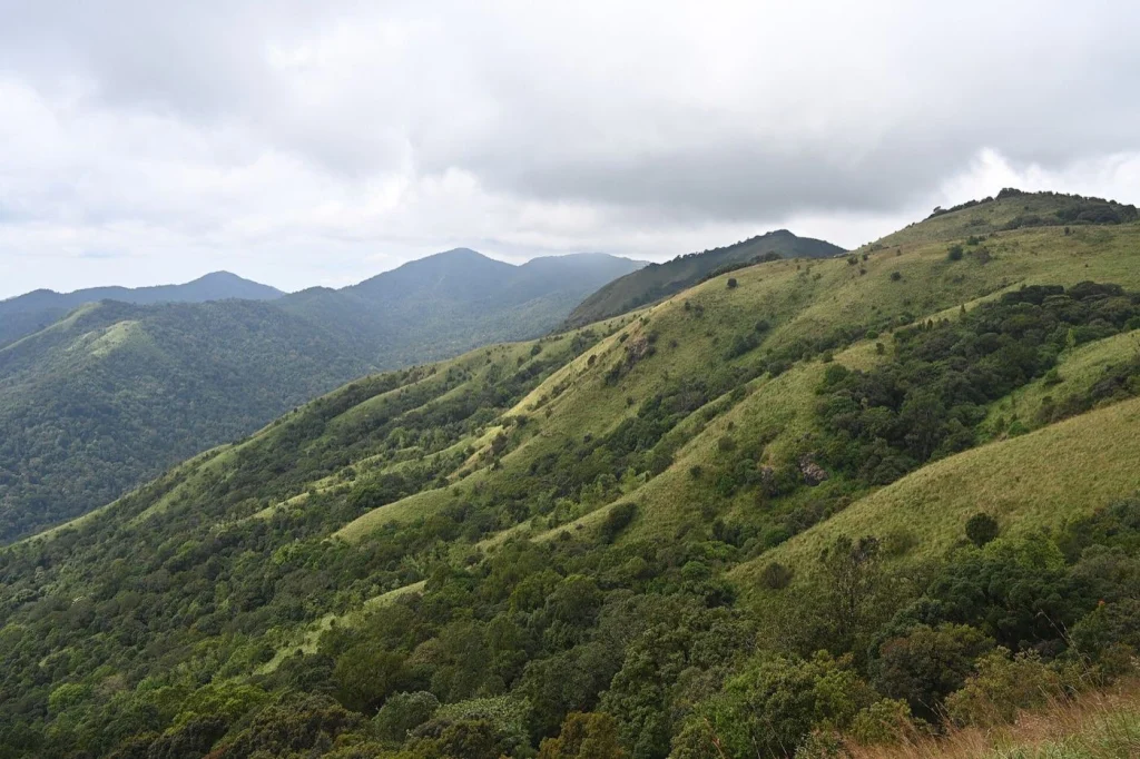Brahmagiri hills