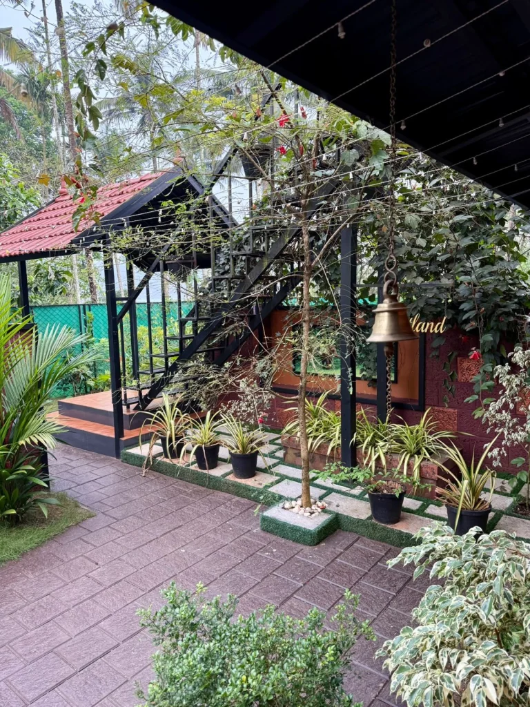 Garden steps lined with potted plants