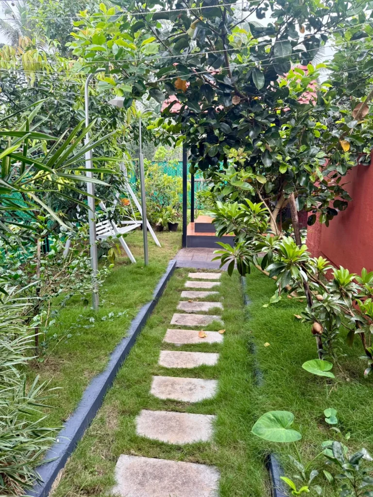 Stepping stones through the fruit trees