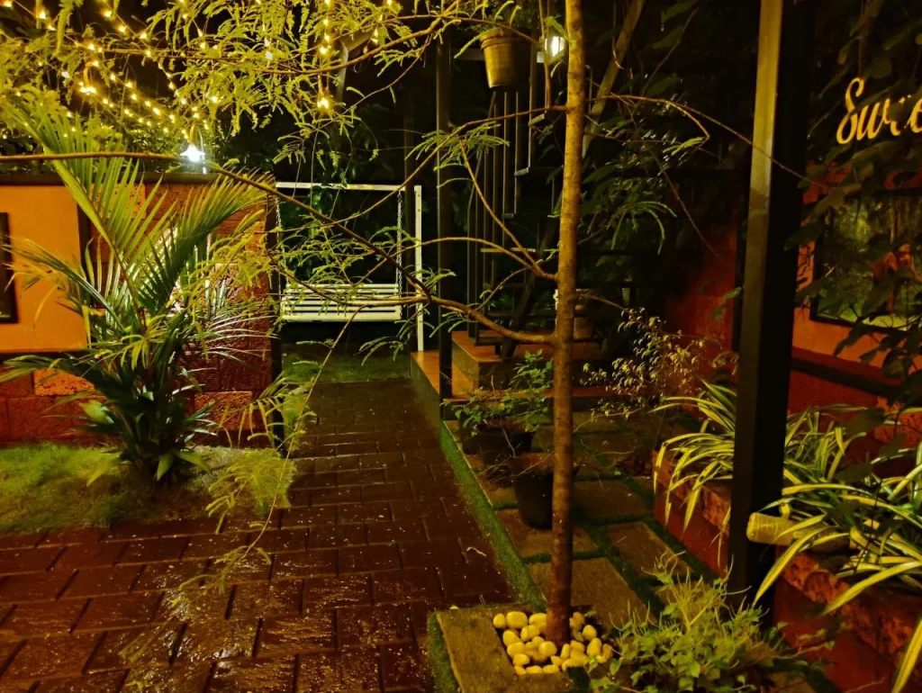 A garden path between plants at night